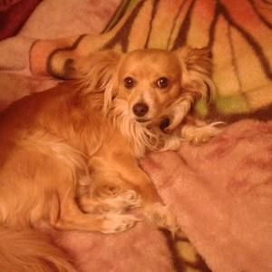 Meet your Posher, Margaret